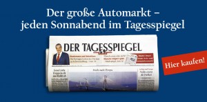 Tagesspiegel 2b